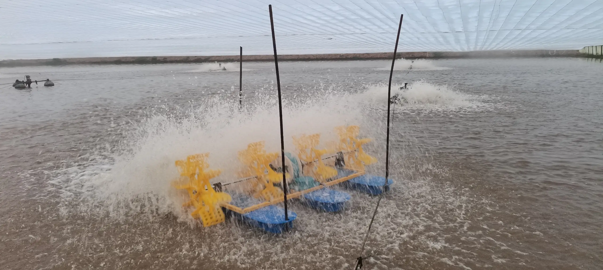 Paddlewheel Aerators